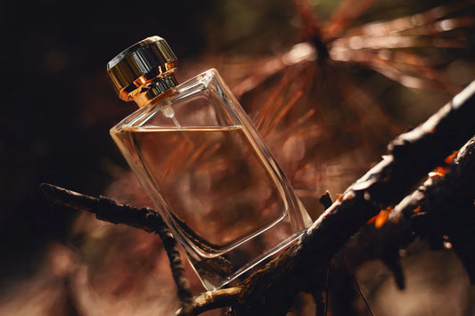 The Power of Fragrance in Everyday Life
