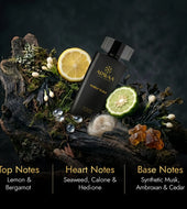 Amber Wave | Eau de Parfum – 100 ML