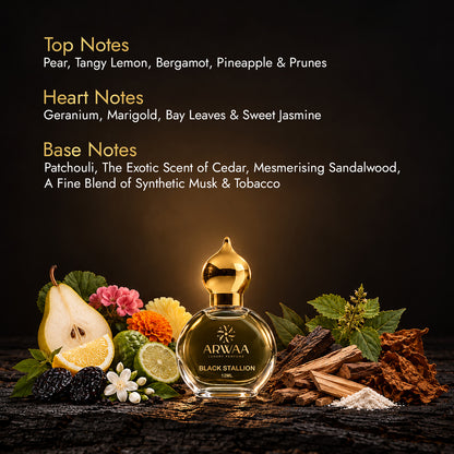 Black Stallion |  Attar -  12ML