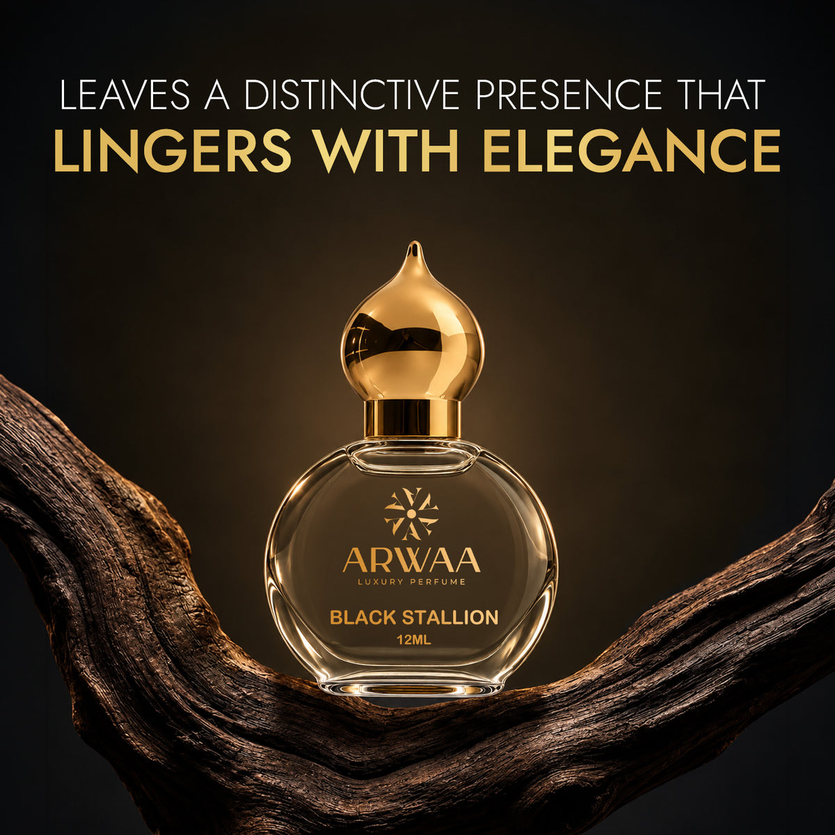 Black Stallion |  Attar -  12ML
